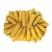 Canned sweet corn best quality